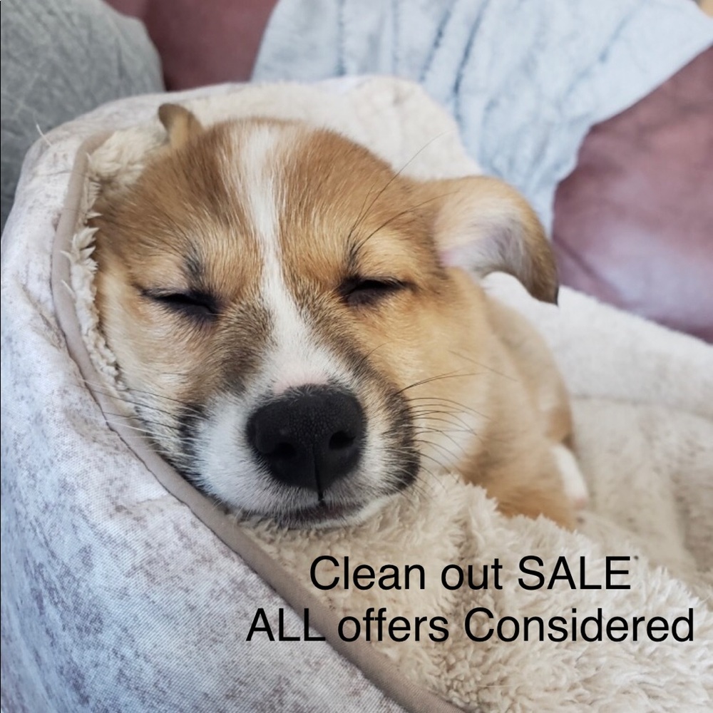 SALE - make an offer!